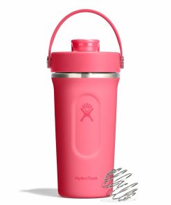 24 oz Insulated Shaker Bottle